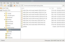 Backup files screenshot